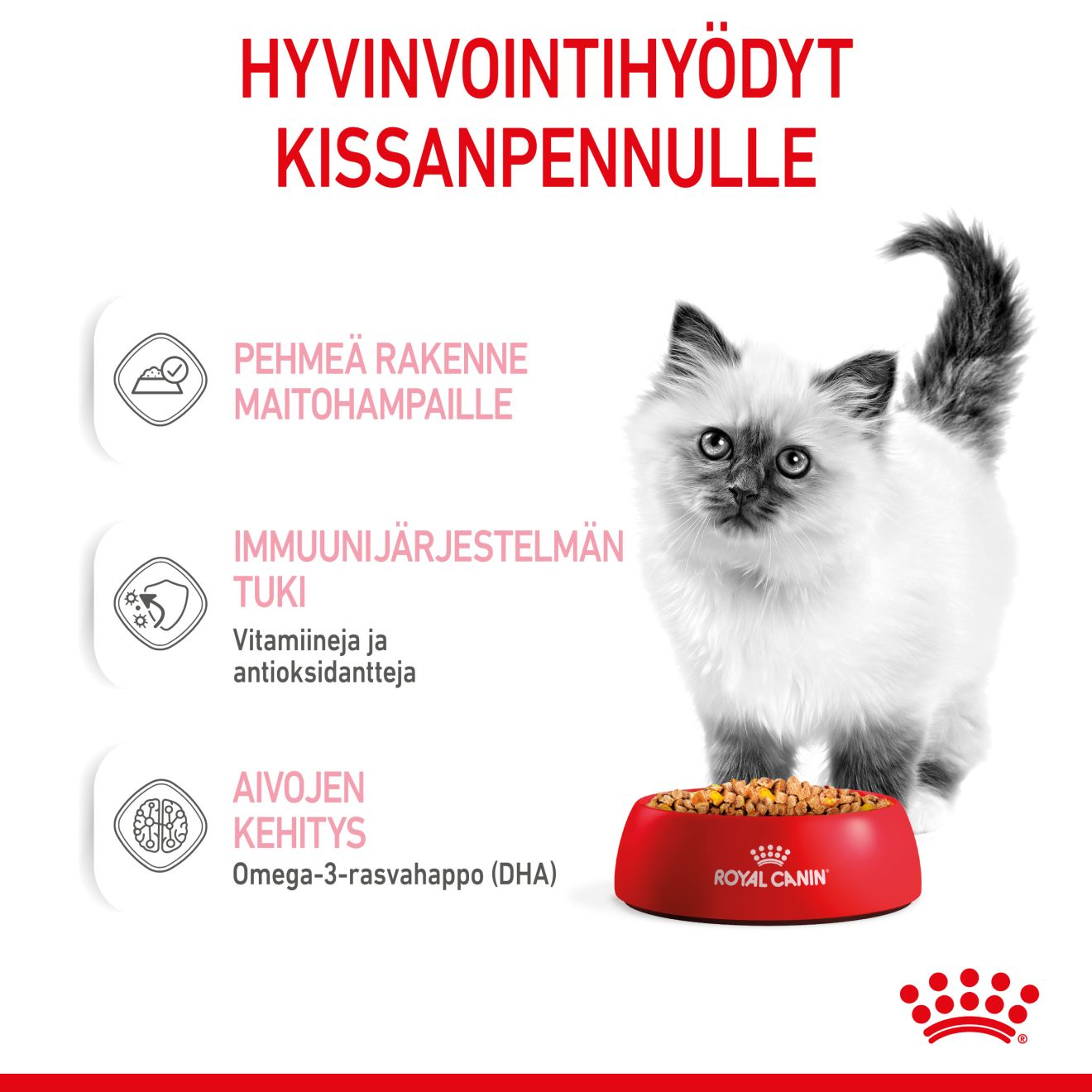 Royal Canin Kitten Jelly kissanpennun märkäruoka