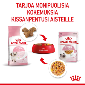 Royal Canin Kitten Jelly kissanpennun märkäruoka