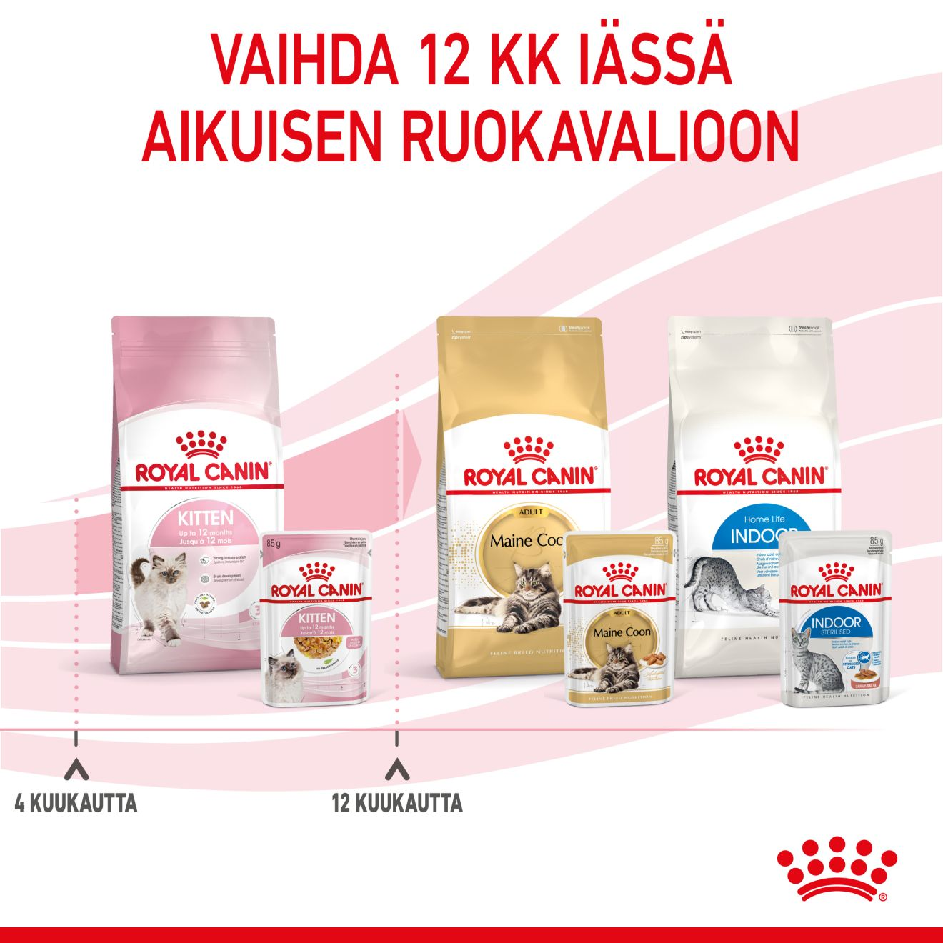 Royal Canin Kitten Jelly kissanpennun märkäruoka