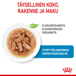 Royal Canin Maxi Puppy Gravy koiranpennun märkäruoka