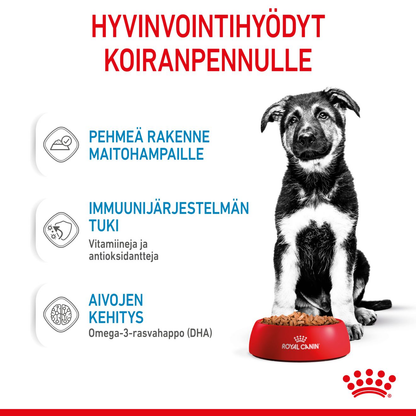 Royal Canin Maxi Puppy Gravy koiranpennun märkäruoka