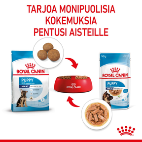 Royal Canin Maxi Puppy Gravy koiranpennun märkäruoka