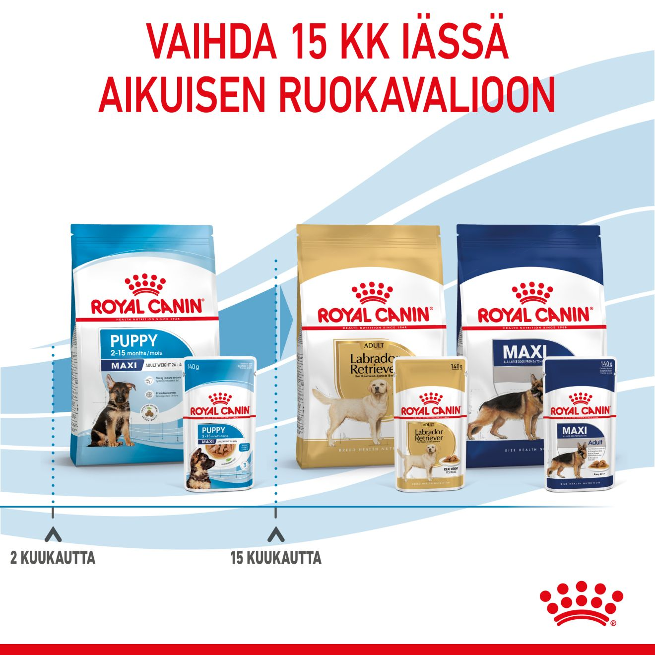 Royal Canin Maxi Puppy Gravy koiranpennun märkäruoka