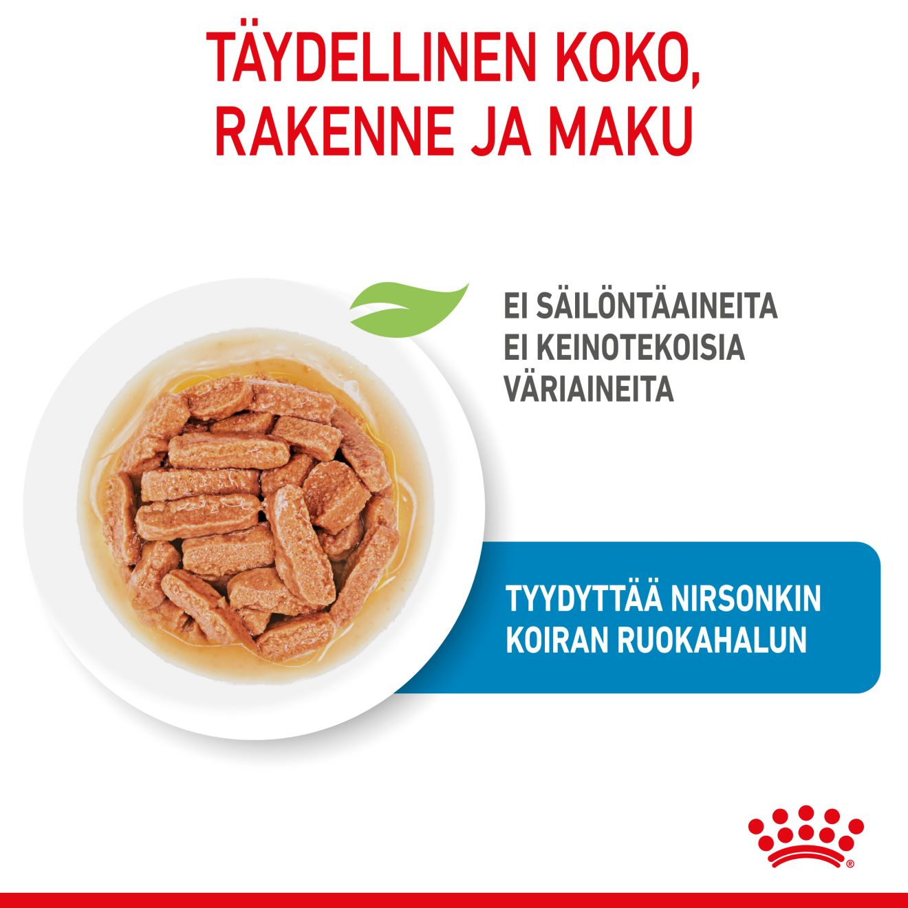 Royal Canin Medium Puppy Gravy koiranpennun märkäruoka