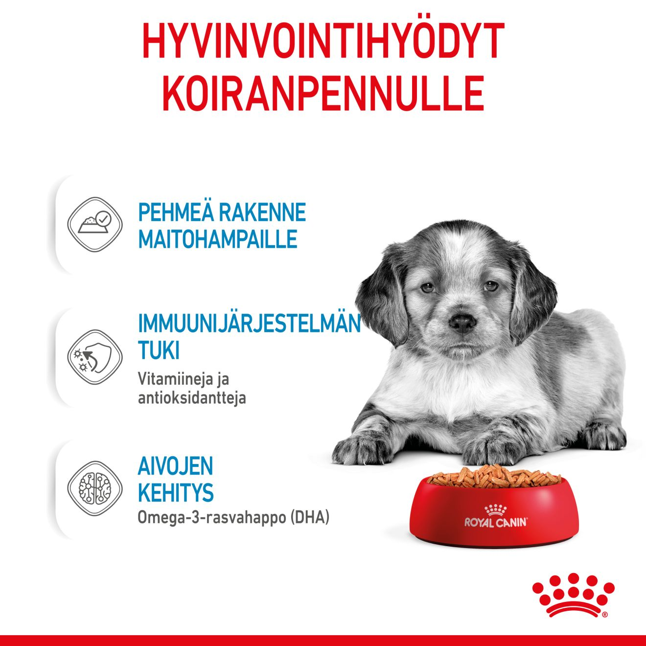 Royal Canin Medium Puppy Gravy koiranpennun märkäruoka