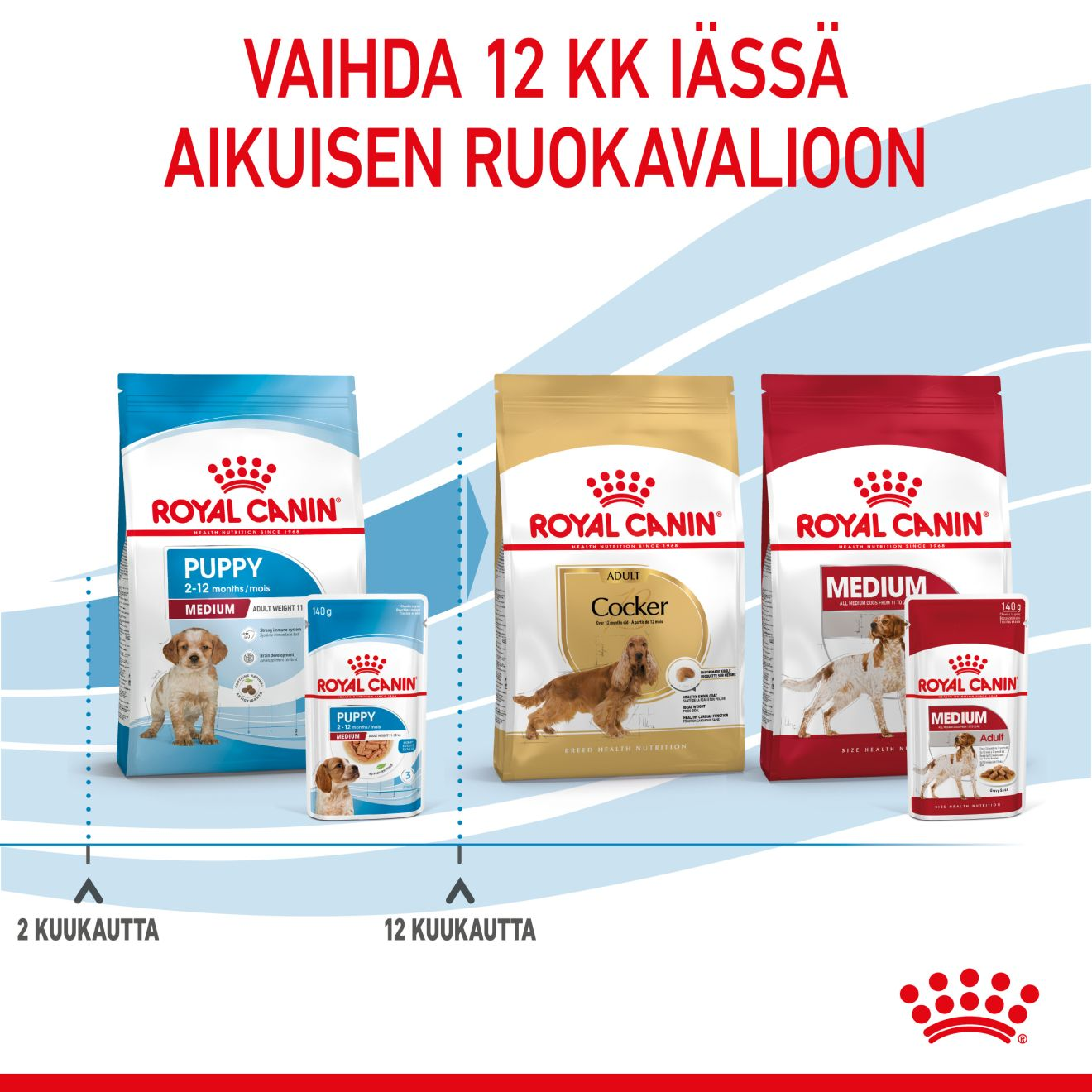 Royal Canin Medium Puppy Gravy koiranpennun märkäruoka