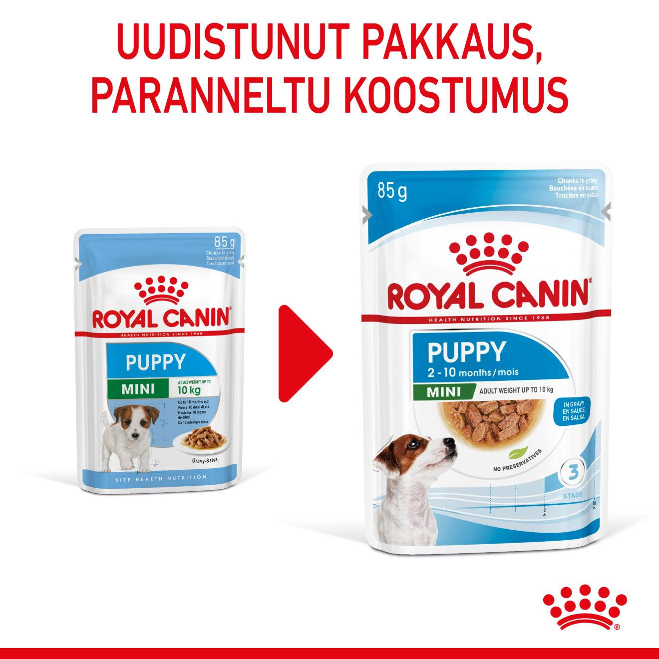 Royal Canin Mini Puppy koiranpennun märkäruoka