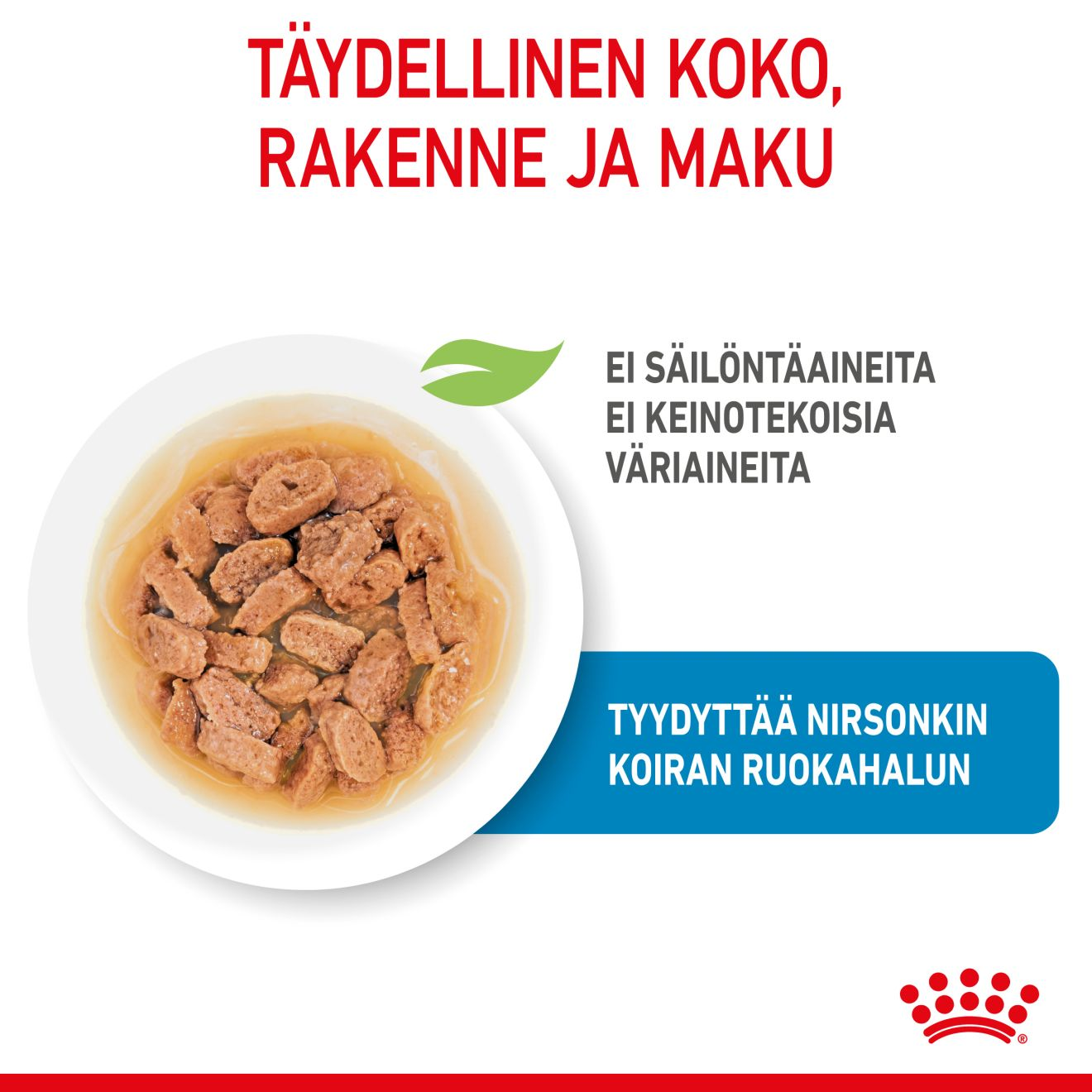 Royal Canin Mini Puppy koiranpennun märkäruoka