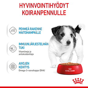 Royal Canin Mini Puppy koiranpennun märkäruoka