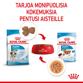 Royal Canin Mini Puppy koiranpennun märkäruoka