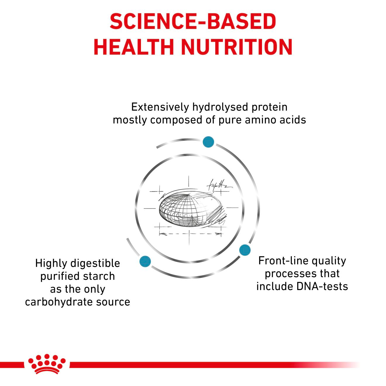 Royal Canin Veterinary Diets Derma Anallergenic kissan kuivaruoka