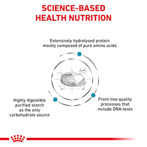 Royal Canin Veterinary Diets Derma Anallergenic kissan kuivaruoka