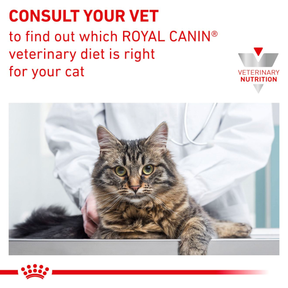 Royal Canin Veterinary Diets Derma Anallergenic kissan kuivaruoka