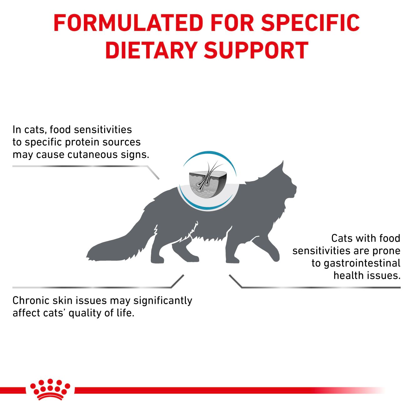 Royal Canin Veterinary Diets Derma Anallergenic kissan kuivaruoka