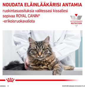 Royal Canin Veterinary Diets Weight Management Diabetic kissan kuivaruoka