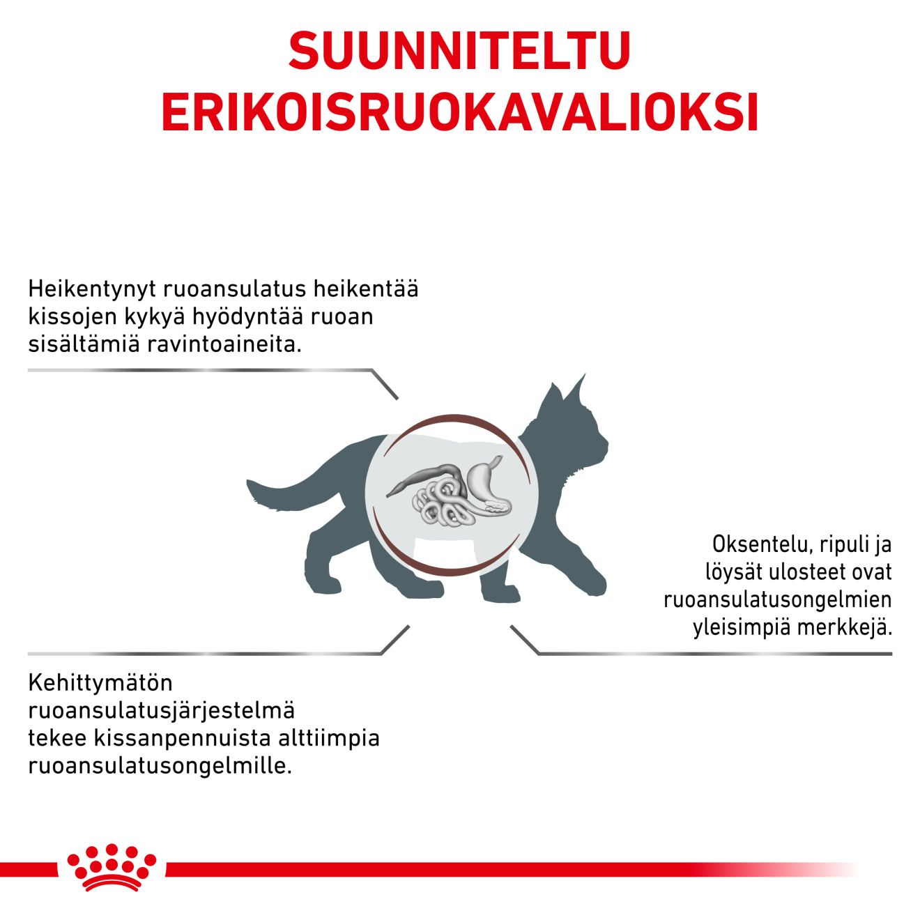 Royal Canin Veterinary Diets Gastrointestinal Kitten kissan kuivaruoka