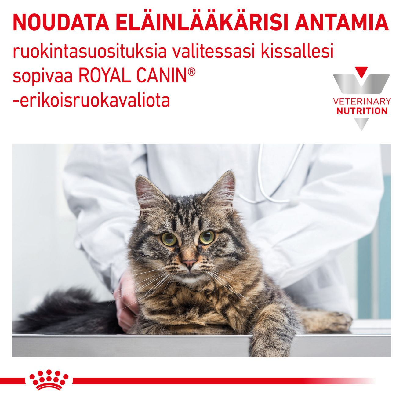 Royal Canin Veterinary Diets Gastrointestinal Kitten kissan kuivaruoka