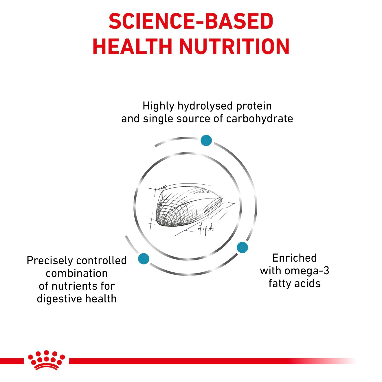 Royal Canin Veterinary Diets Derma Hypoallergenic kissan kuivaruoka