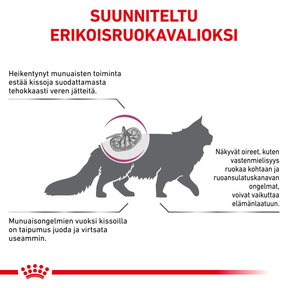 Royal Canin Veterinary Diets Renal Select kissan kuivaruoka