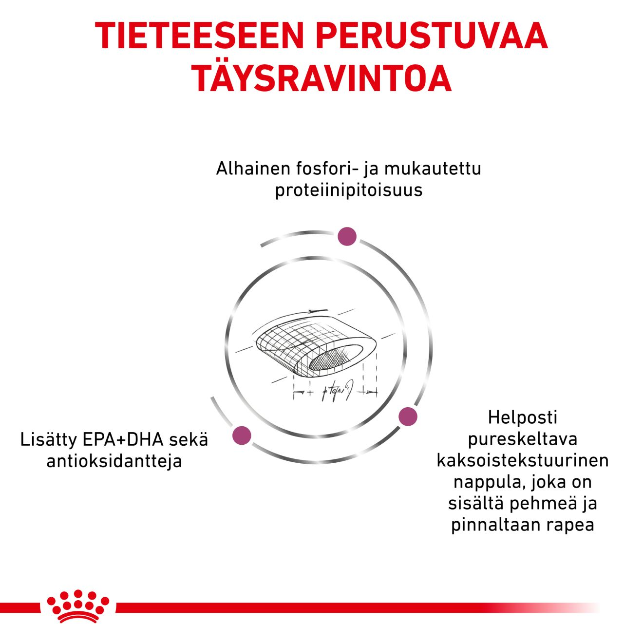 Royal Canin Veterinary Diets Renal Select kissan kuivaruoka