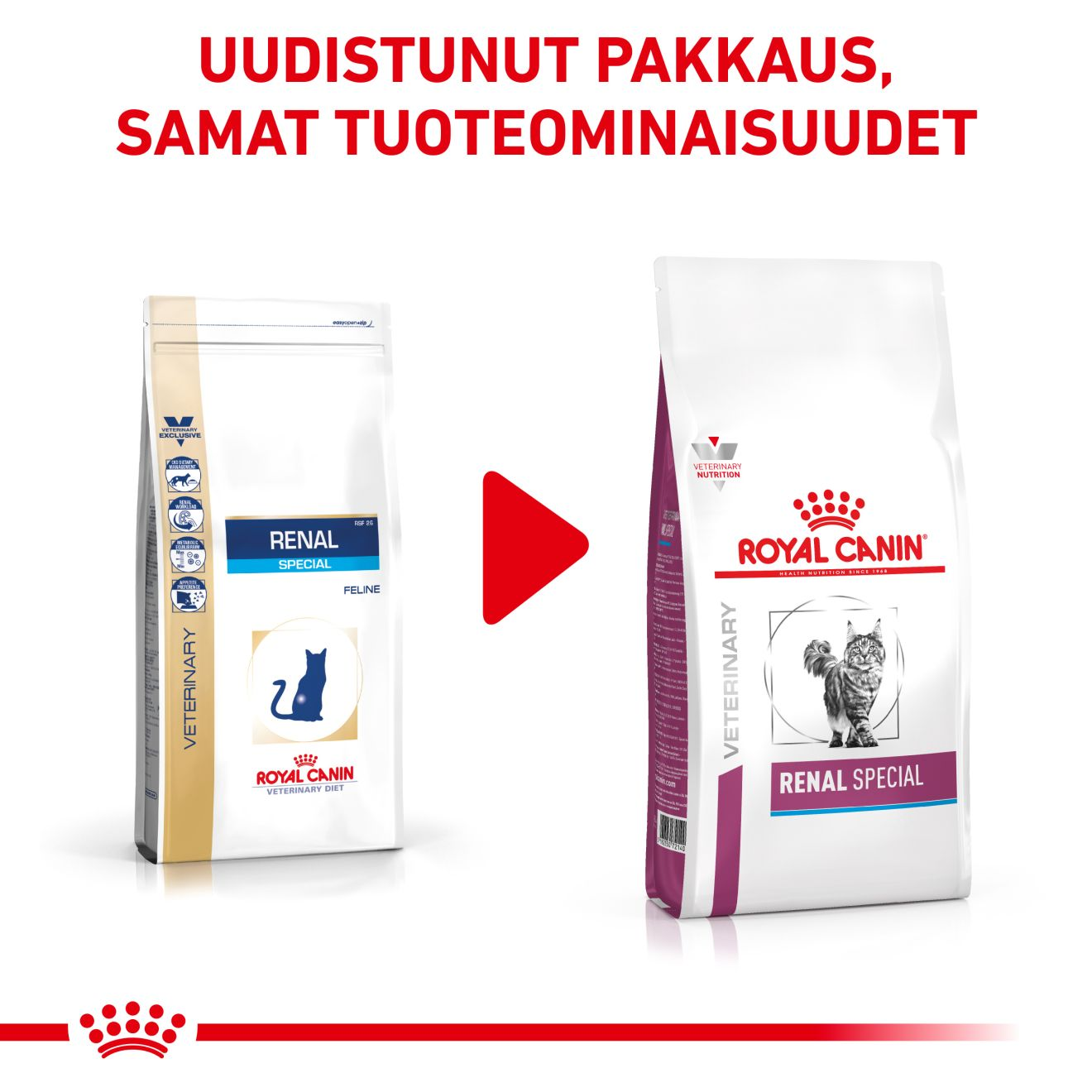 Royal Canin Veterinary Diets Renal Special kissan kuivaruoka