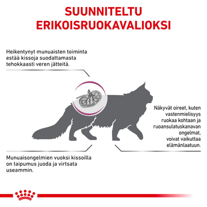 Royal Canin Veterinary Diets Renal Special kissan kuivaruoka