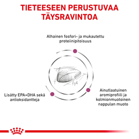 Royal Canin Veterinary Diets Renal Special kissan kuivaruoka