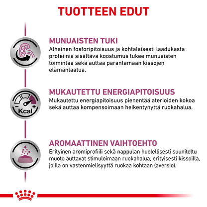 Royal Canin Veterinary Diets Renal Special kissan kuivaruoka