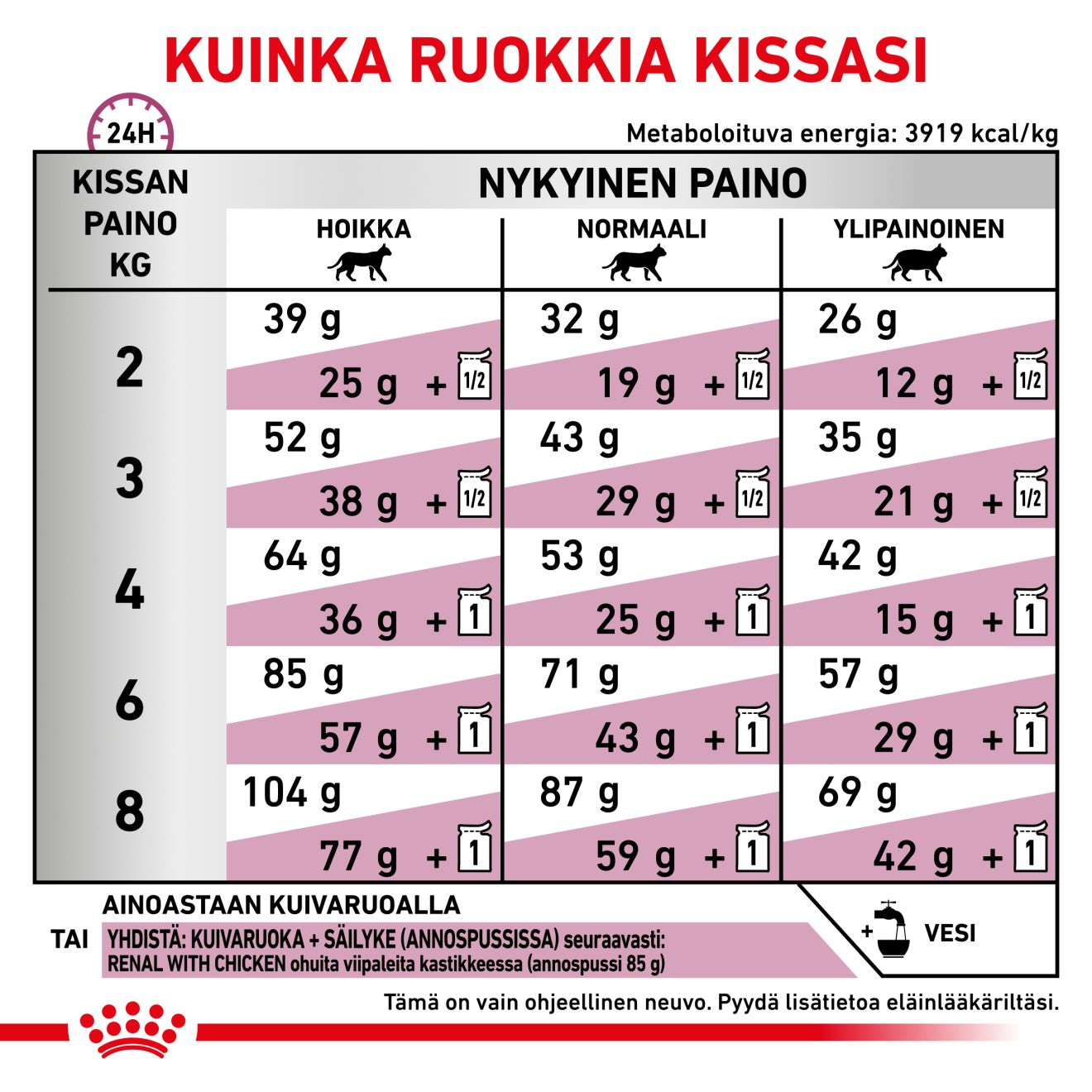 Royal Canin Veterinary Diets Renal Special kissan kuivaruoka