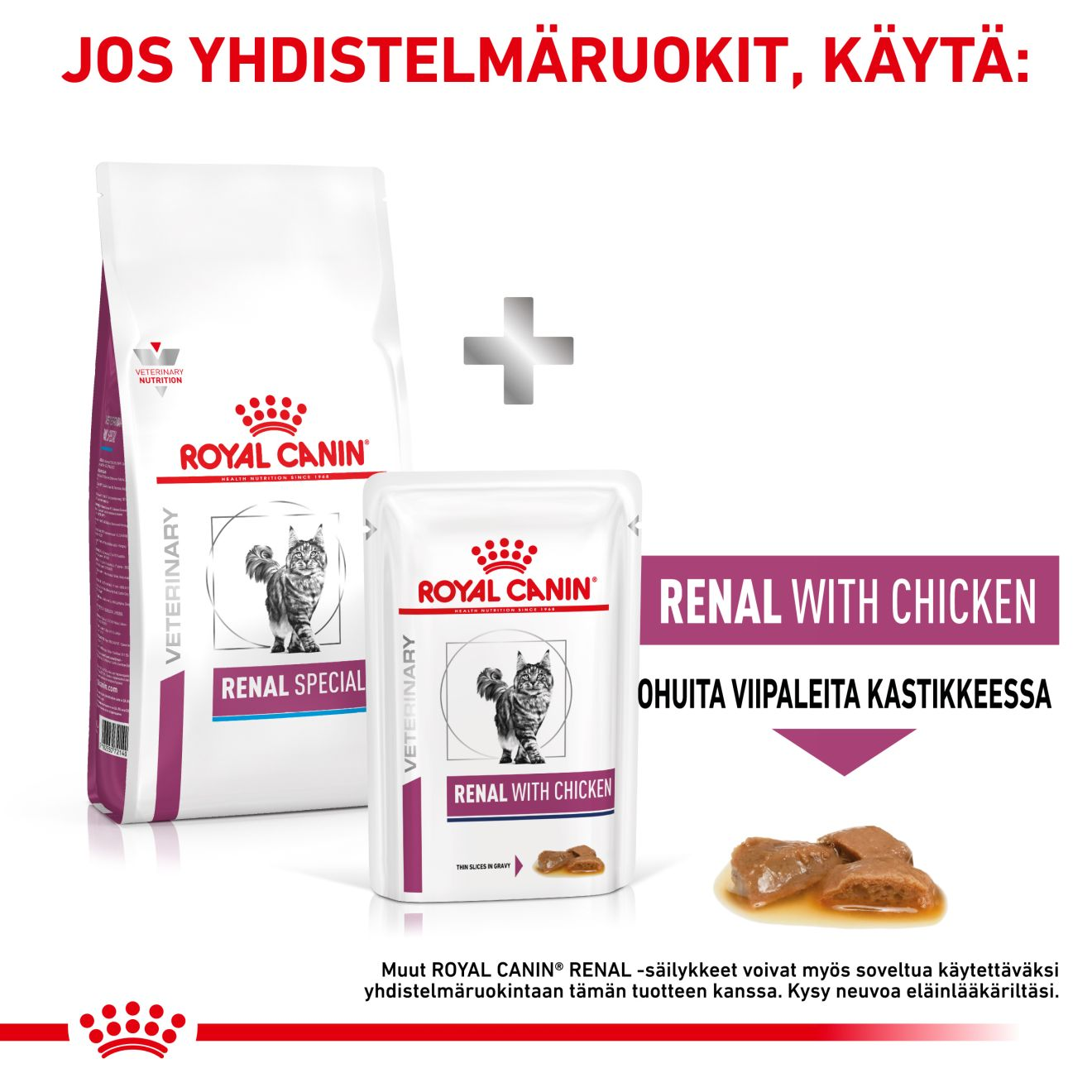 Royal Canin Veterinary Diets Renal Special kissan kuivaruoka