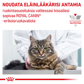 Royal Canin Veterinary Diets Renal Special kissan kuivaruoka