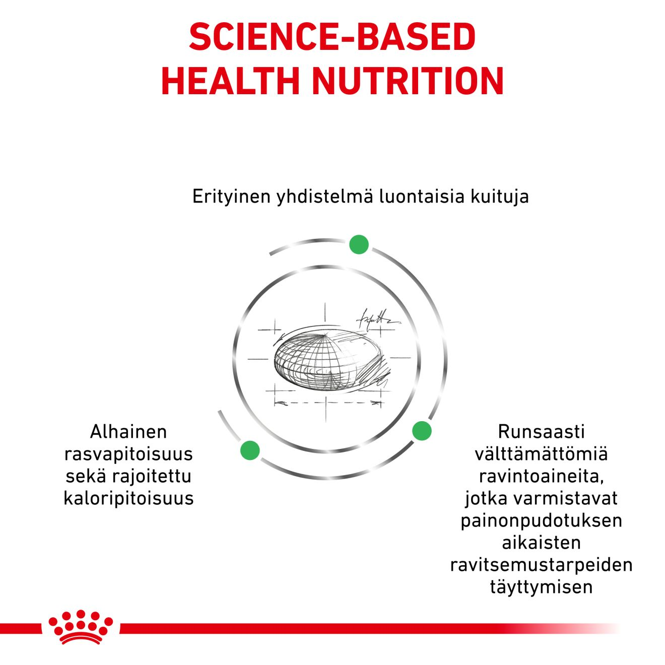 Royal Canin Veterinary Diets Weight Management Satiety kissan kuivaruoka