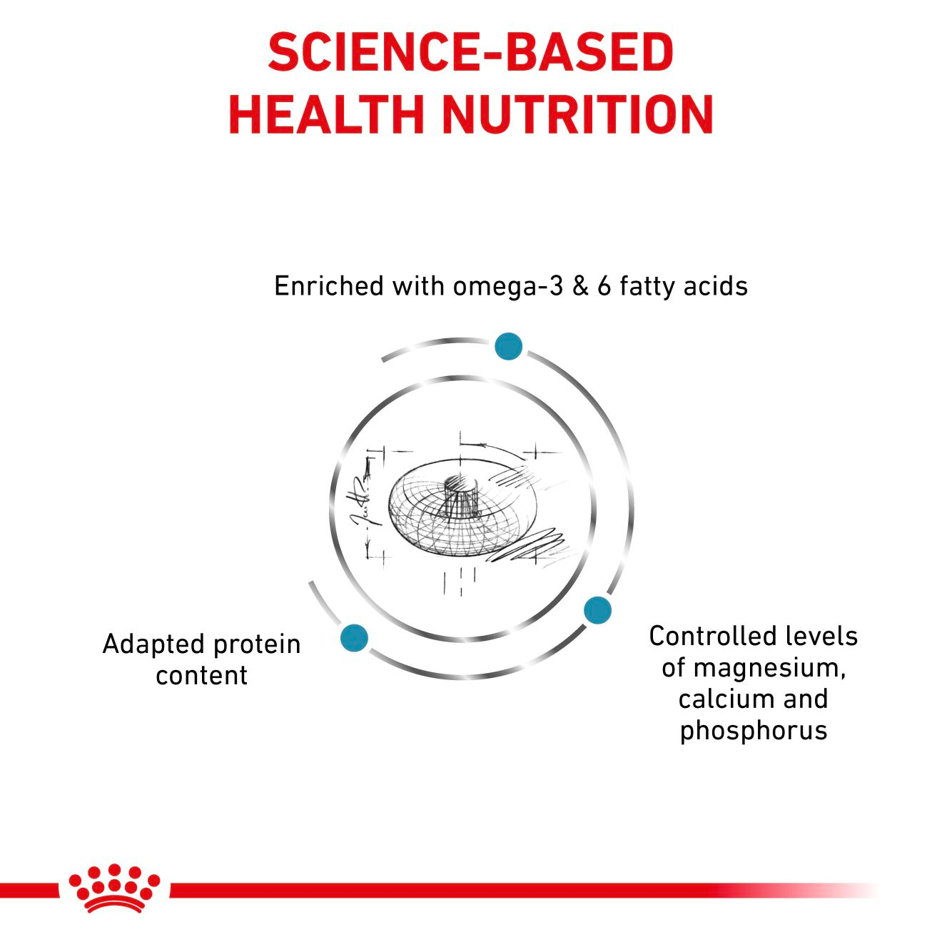 Royal Canin Veterinary Diets Derma Skin & Coat kissan kuivaruoka