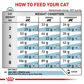 Royal Canin Veterinary Diets Derma Skin & Coat kissan kuivaruoka