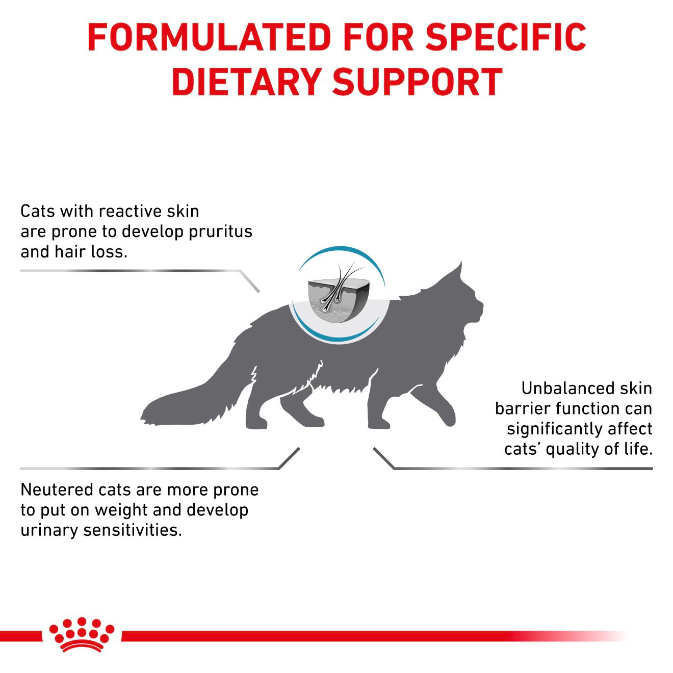 Royal Canin Veterinary Diets Derma Skin & Coat kissan kuivaruoka