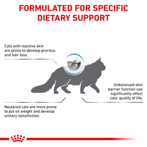 Royal Canin Veterinary Diets Derma Skin & Coat kissan kuivaruoka