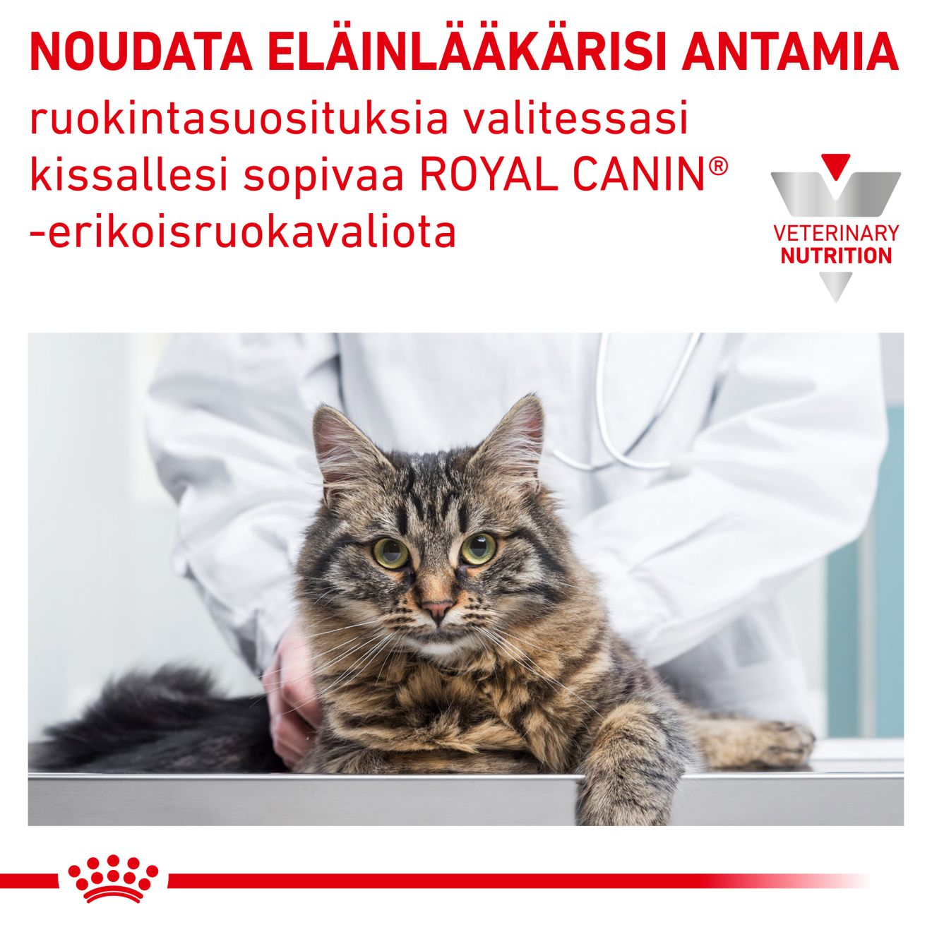 Royal Canin Veterinary Diets Urinary S/O kissan kuivaruoka