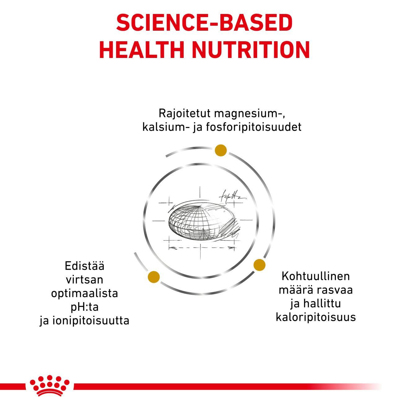 Royal Canin Veterinary Diets Urinary S/O Moderate Calorie kissan kuivaruoka