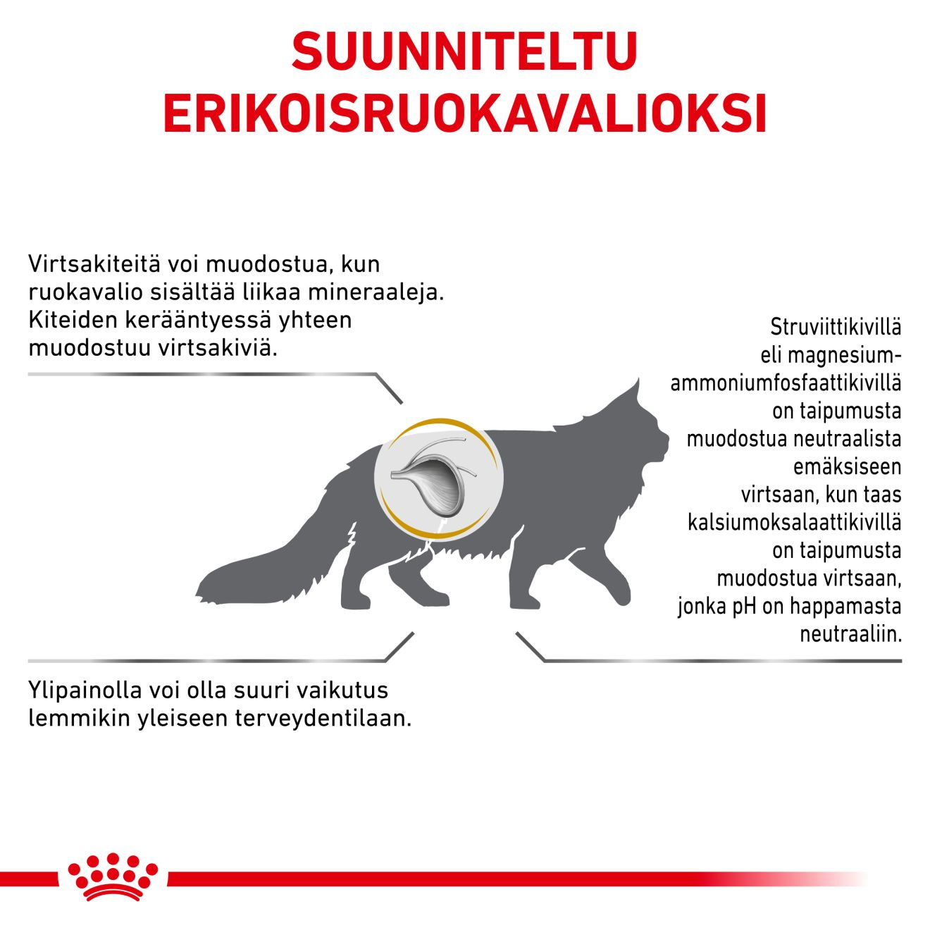 Royal Canin Veterinary Diets Urinary S/O Moderate Calorie kissan kuivaruoka