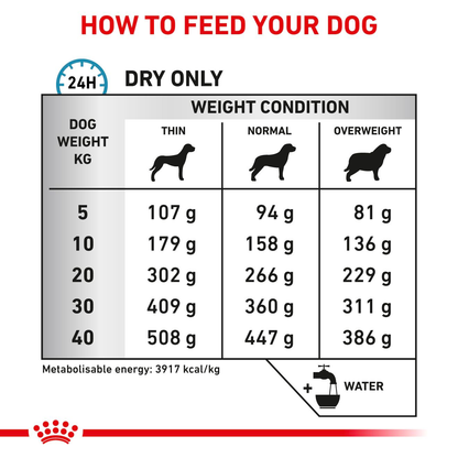 Royal Canin Veterinary Diets Derma Anallergenic koiran kuivaruoka