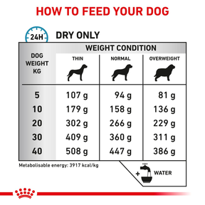 Royal Canin Veterinary Diets Derma Anallergenic koiran kuivaruoka