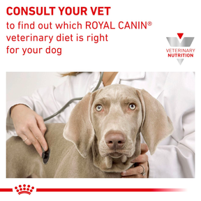 Royal Canin Veterinary Diets Derma Anallergenic koiran kuivaruoka