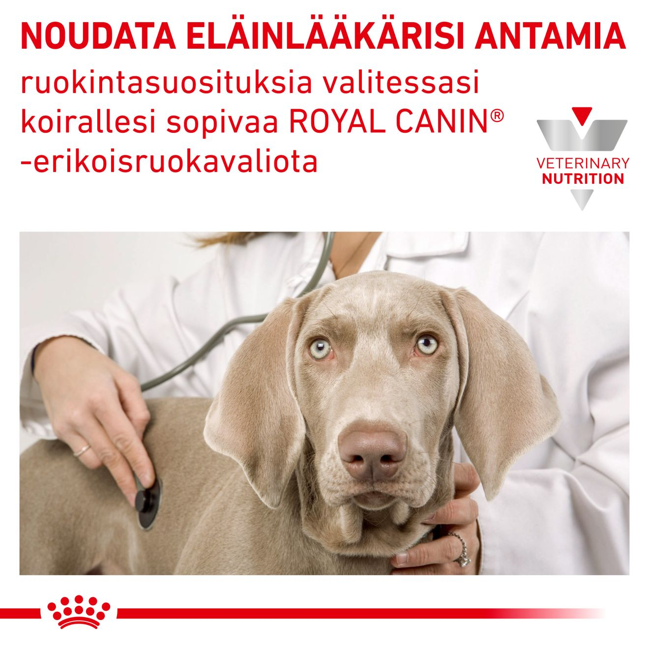 Royal Canin Veterinary Diets Weight Management Diabetic koiran kuivaruoka