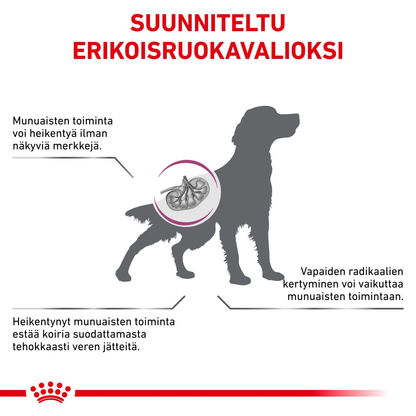 Royal Canin Veterinary Diets Vital Early Renal koiran kuivaruoka
