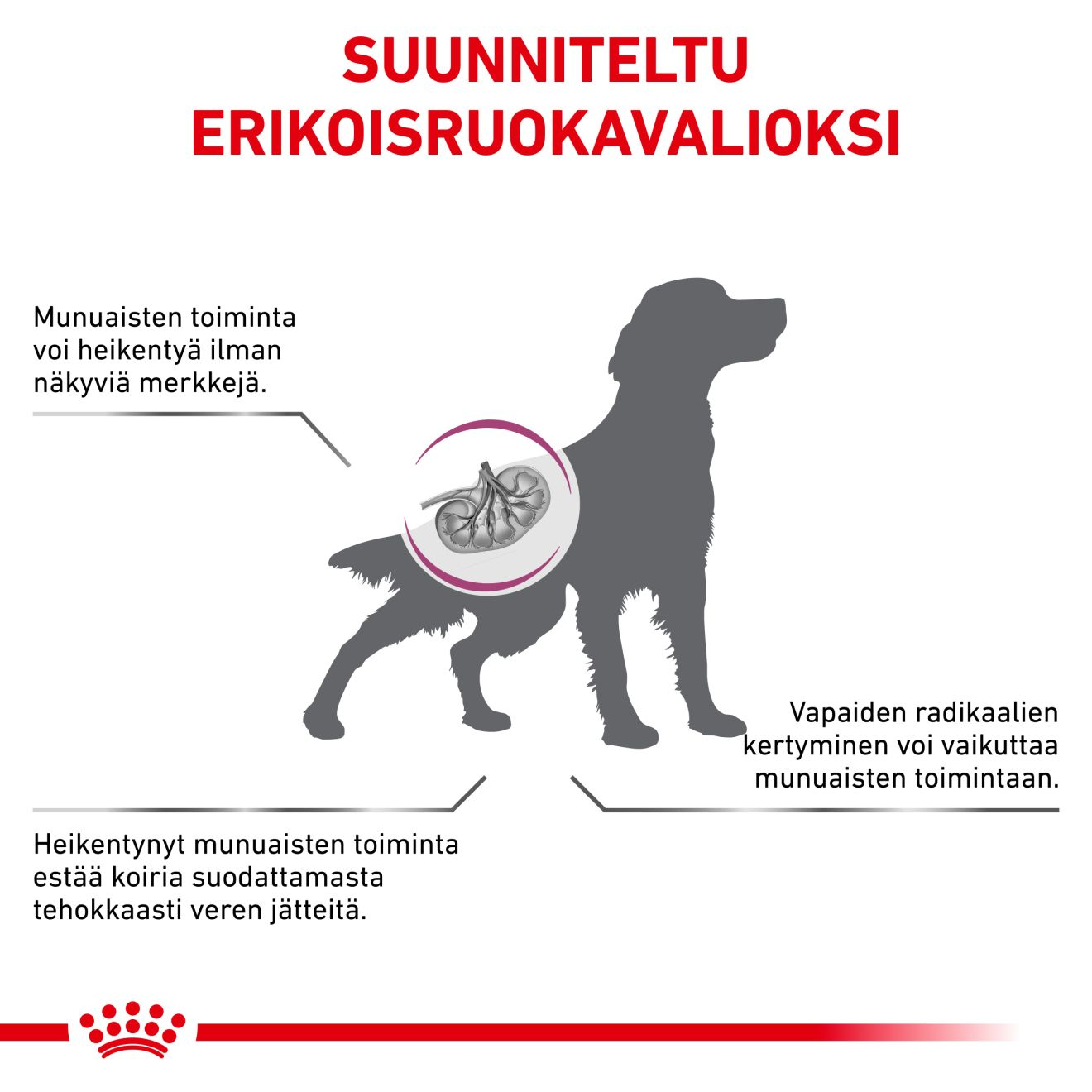 Royal Canin Veterinary Diets Vital Early Renal koiran kuivaruoka