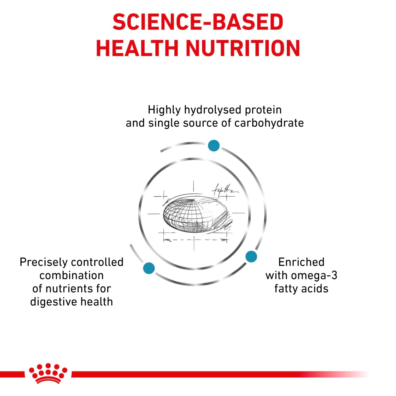 Royal Canin Veterinary Diets Derma Hypoallergenic koiran kuivaruoka