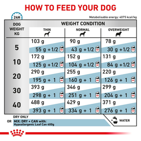 Royal Canin Veterinary Diets Derma Hypoallergenic koiran kuivaruoka