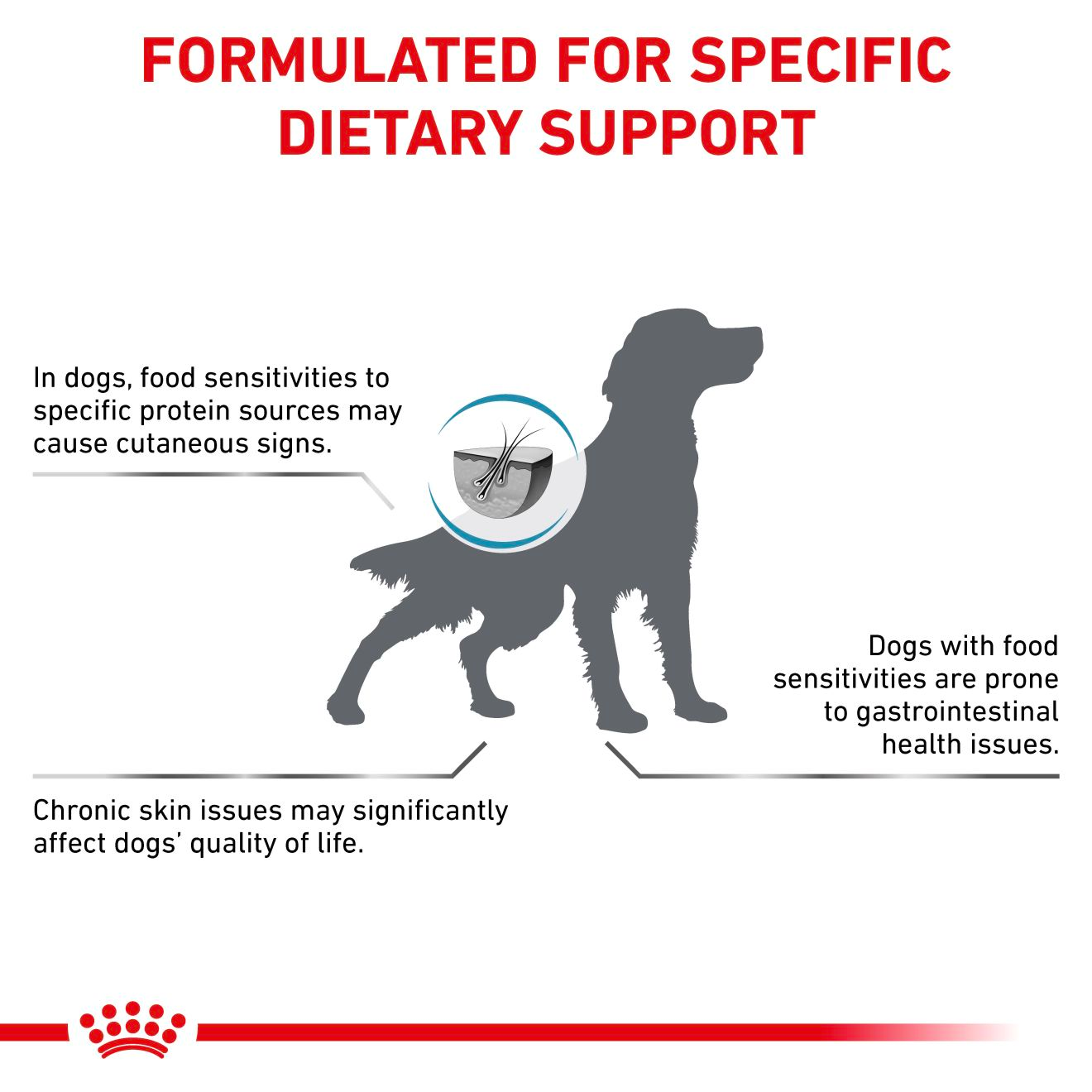 Royal Canin Veterinary Diets Derma Hypoallergenic koiran kuivaruoka