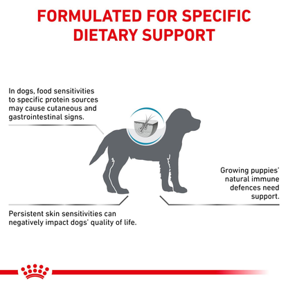 Royal Canin Veterinary Diets Derma Hypoallergenic Puppy koiran kuivaruoka