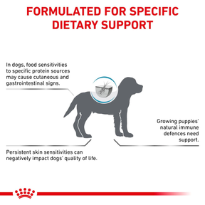 Royal Canin Veterinary Diets Derma Hypoallergenic Puppy koiran kuivaruoka